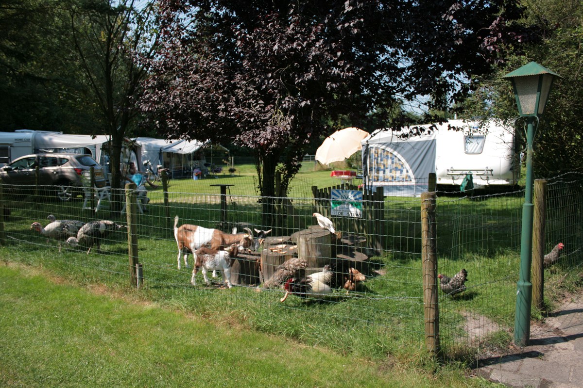 De dierenweide