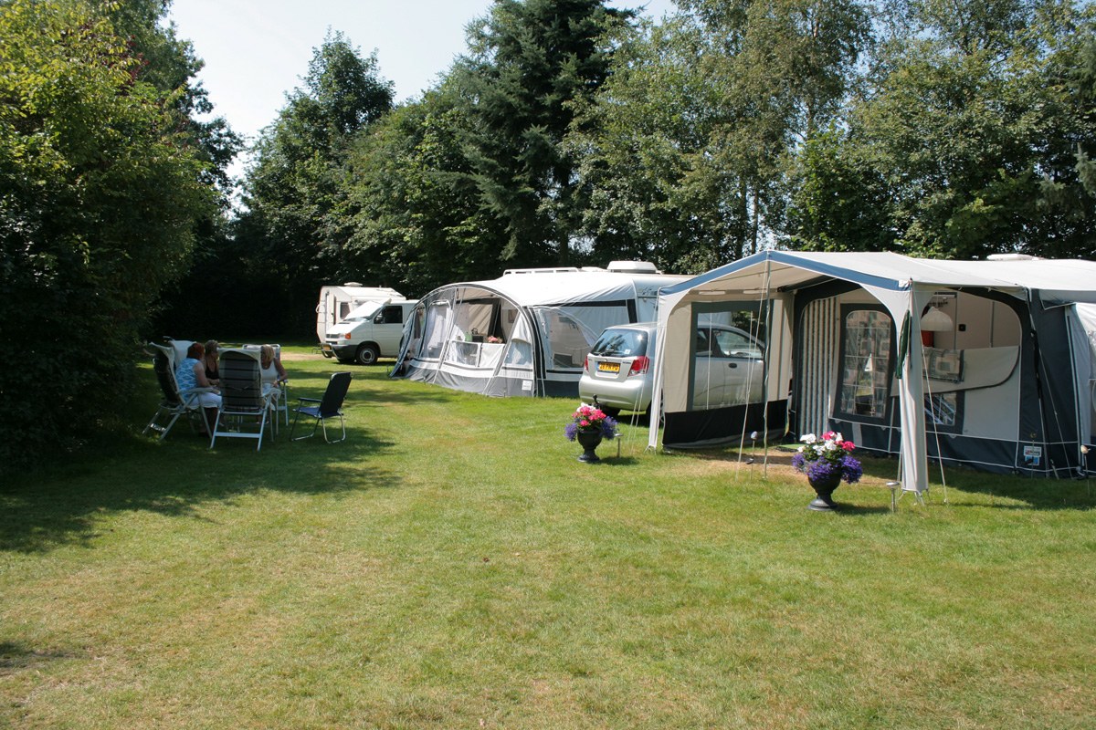 Het zonnige veld